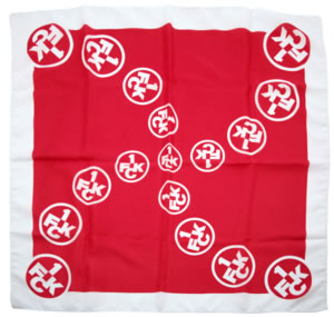 Neck Scarf Kaiserslautern